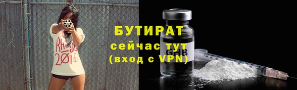 гидра Аркадак