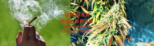 амф Алзамай