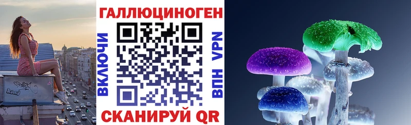 Псилоцибиновые грибы Psilocybine cubensis Муравленко