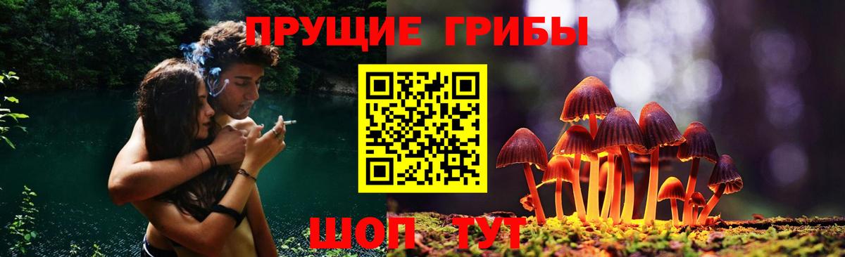 Муравленко  что такое   Вход с VPN  Галлюциногенные грибы Magic Shrooms 